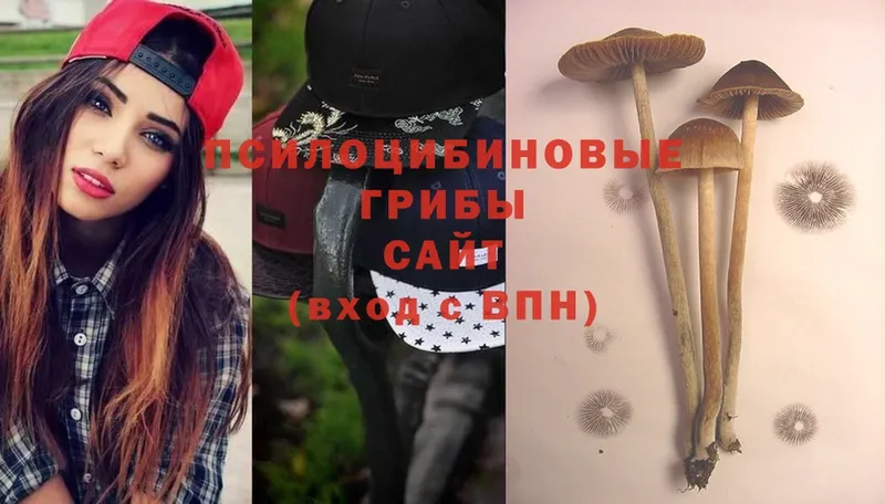 Псилоцибиновые грибы Psilocybine cubensis  ОМГ ОМГ зеркало  Апрелевка 